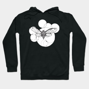 cicada Hoodie